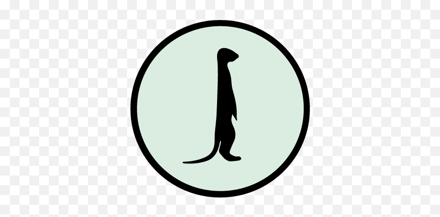 Download Meerkat Png Image With No - Marine Mammal,Meerkat Png