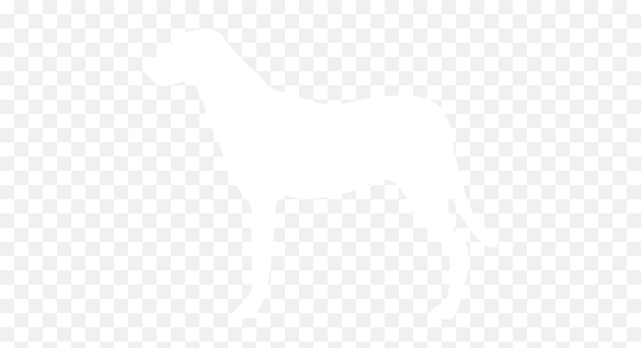 Download Hd Dog Walking Services - Dog Icon Png White,Dog Walking Png