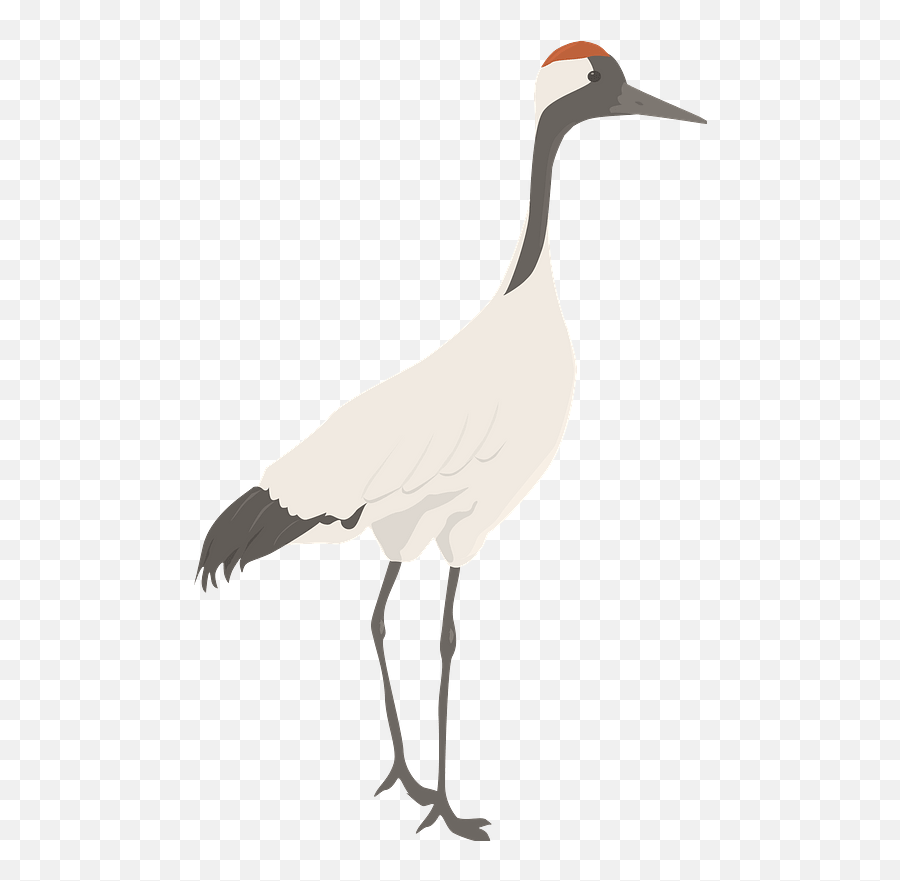 Crane Clipart - Whooping Crane Png,Crane Bird Png
