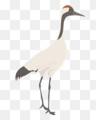 Crane Clipart - Whooping Crane Png,Crane Bird Png