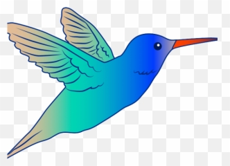 Robin Clipart Indian - Art Png Download Full Size Bird Flying