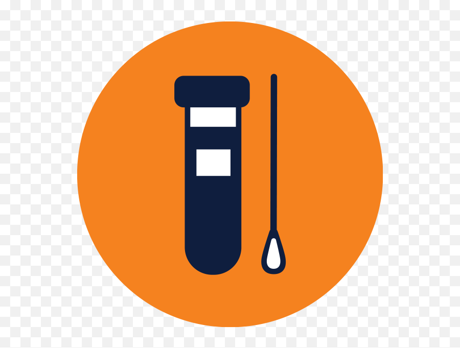 Utep Coronavirus Proactive Testing Program - Laboratory Equipment Png,Test Results Icon