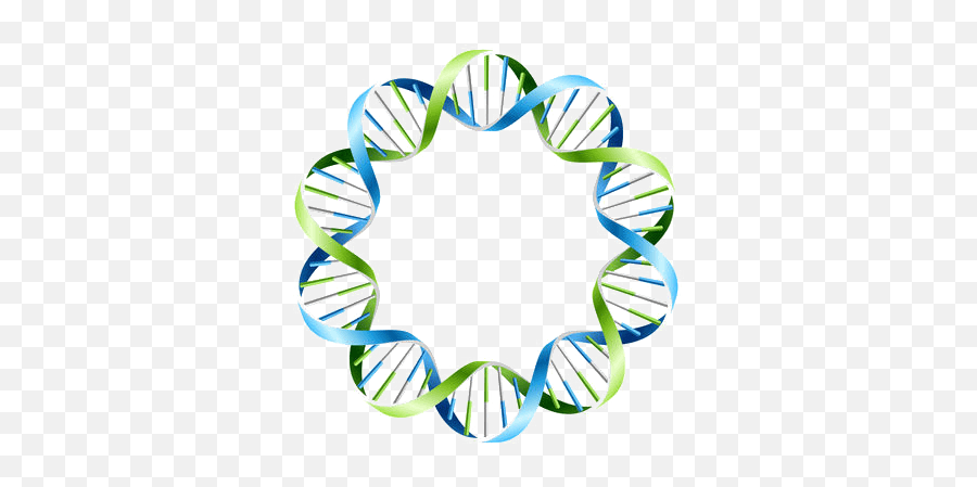 Dna - Dna Circles Png,Dna Colorful Icon