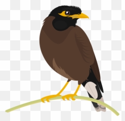 Graphics - Loneliness Birds Malayalam Quotes png