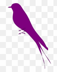 Bird Purple Icon Transparent Purplepng Images - Mockingbird Png