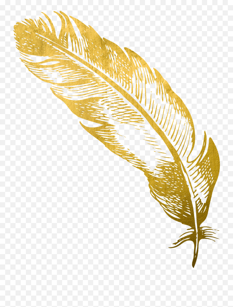 Cropped - Goldfeatherpng Card Snobs Transparent Gold Feather Png,Quill Pen Png