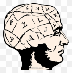 Human Brain Royalty Free Vector Clip Art Illustration - Brain Clipart Png,Human Brain Png
