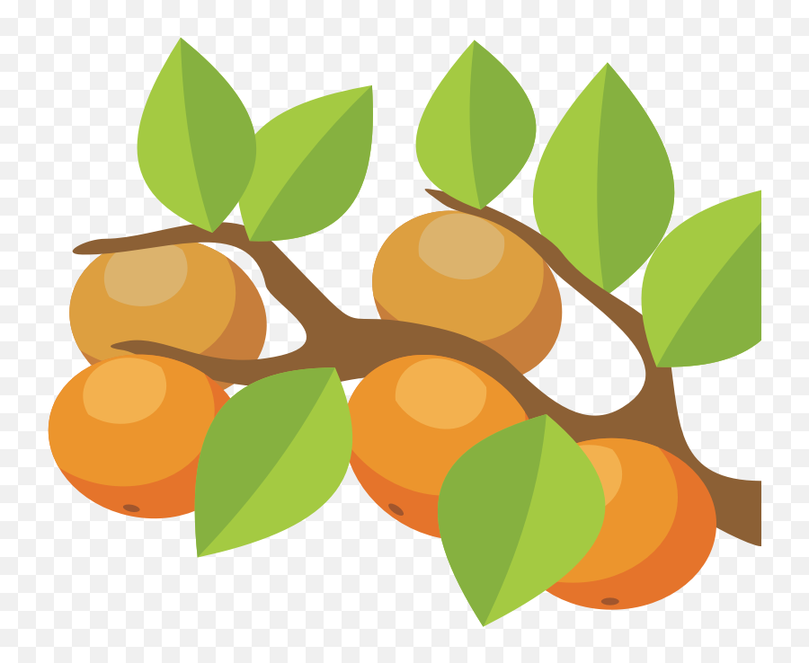 Medium Image - Transparent Orange Tree Clipart Png,Orange Tree Png
