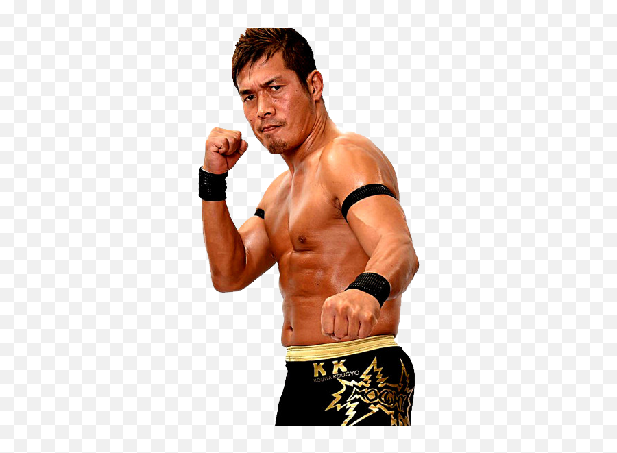 Pro Wrestling Noah Puroresu System Wiki Fandom - Masaaki Mochizuki Png,Wrestling Icon Quiz