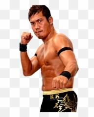 Pro Wrestling Noah Puroresu System Wiki Fandom - Masaaki Mochizuki png