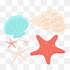 Library Of Transparent Background Png Seashell Jpg Free - Transparent Background Seashells Clipart,Ocean Transparent Background