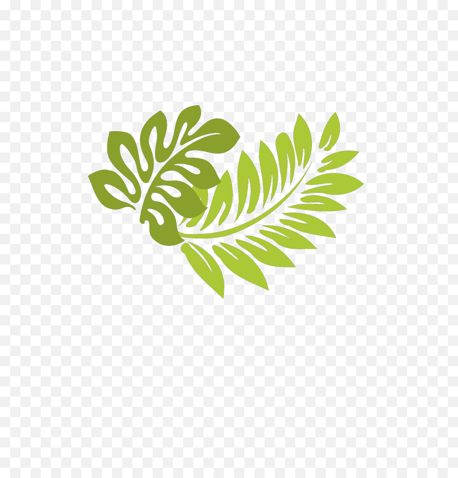 Library Of Hawaiian Leaf Clip Png Files Clipart Art 2019 - Hibiscus Clip Art,Tropical Leaf Png