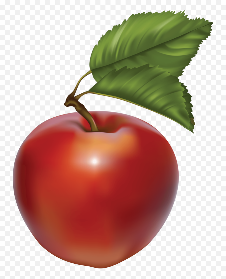 Download Free Png Green Apple Image - Dlpngcom Fruit Vector,Green Apple Png
