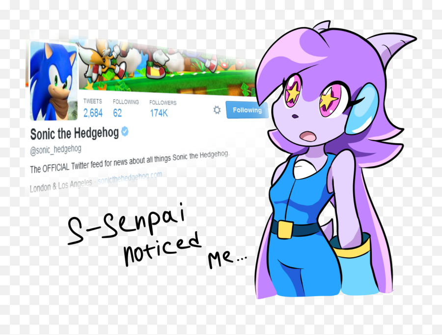 Followers 2 684 62 174k Following - Sonic Freedom Planet Lilac Png,Freedom Planet Logo
