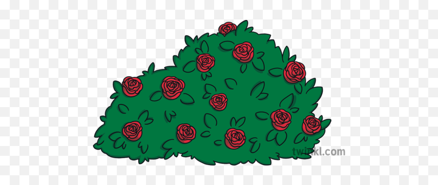 Beauty And The Beast Rosebush Ks1 Flower Flora Nature - Garden Roses Png,Beauty And The Beast Rose Png