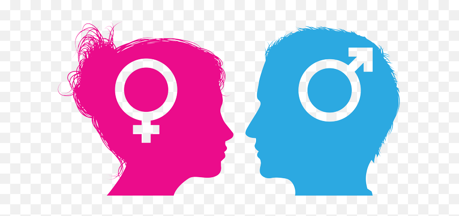 Png Gender Transparent Background - Transparent Background Male And Female Png,Gender Png