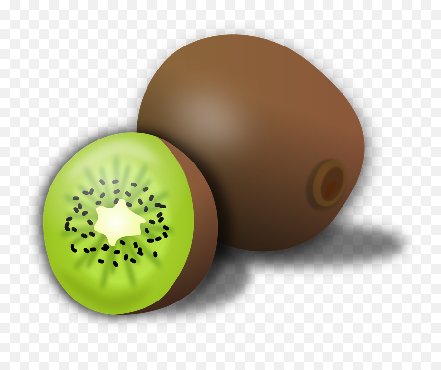 Kiwi Kiwifruit Fruit - Free Vector Graphic On Pixabay Kiwi Fruits Clipart Png,Kiwi Transparent