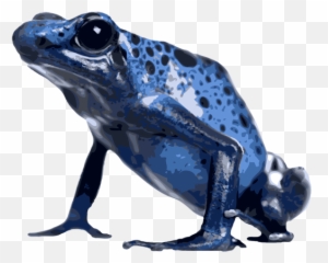 Poison Dart Frog Png Image Mart - Blue Poison Dart Frog Png,Dart Png