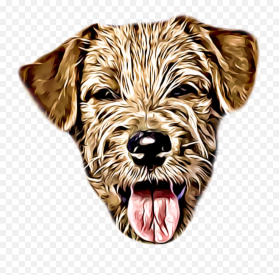 Wuuf - Norfolk Terrier Png,Beach Png