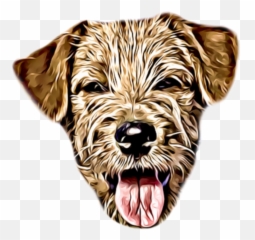 Wuuf - Norfolk Terrier Png,Beach Png