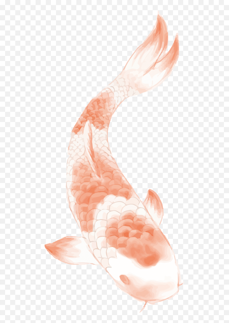 Download Butterfly Koi Chinese Tattoo Carp Wind Clipart Png - Fish,Koi Png