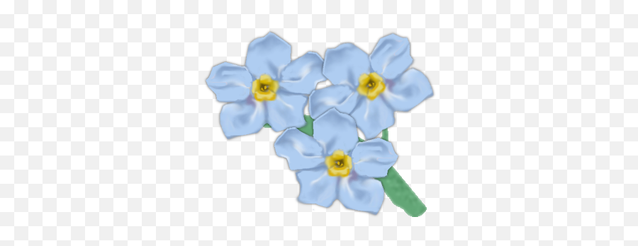 Forget Me Not Png Transparent Picture - Forget Me Not Flower Clipart Transparent,Forget Me Not Png