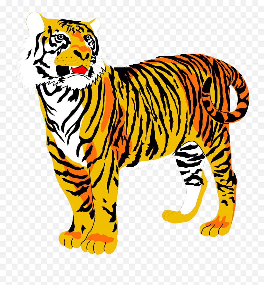 Tigers - Tiger Clipart Transparent Background Png,Tiger Transparent Background