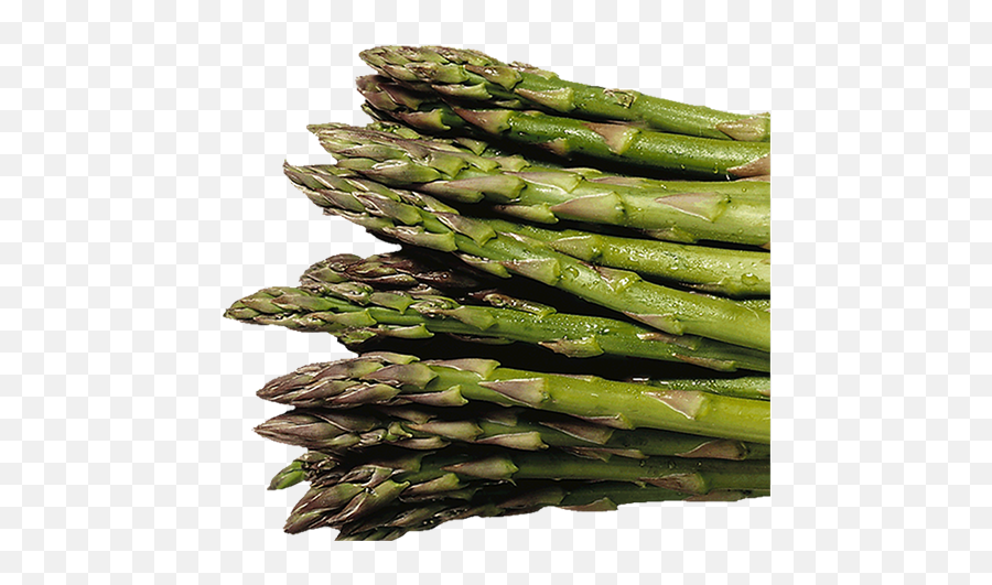 Download Artichoke Whole Green Asparagus - Asparagus Png,Asparagus Png