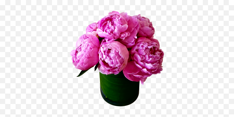 Vase Peony Clipart Hd - Bouquets Peony Flower Birthday Png,Peony Transparent