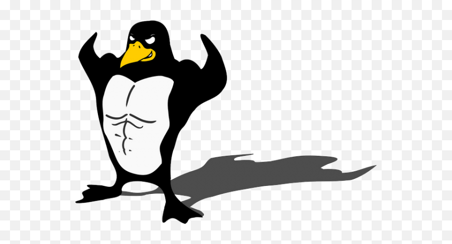 Penguin Bodybuilder Linux Muscle Transparent Png Images - Penguin Bodybuilder,Body Builder Png