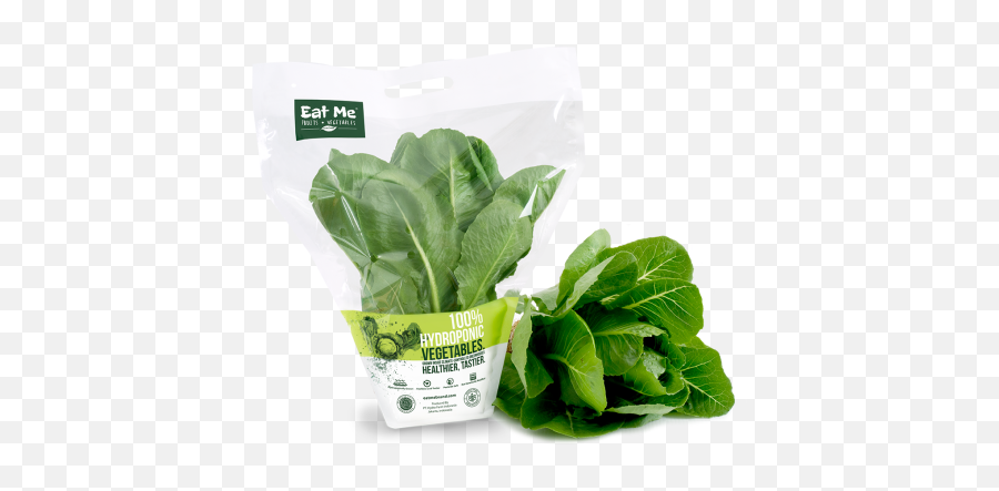 Romaine Lettuce - Eat Me Eat Me Brand Png,Romaine Lettuce Png