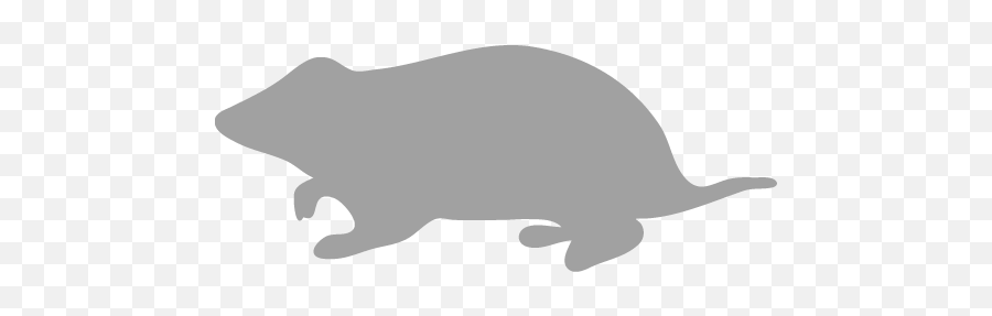 Kangaroo Icons Images Png Transparent - Rodent,Hamster Png