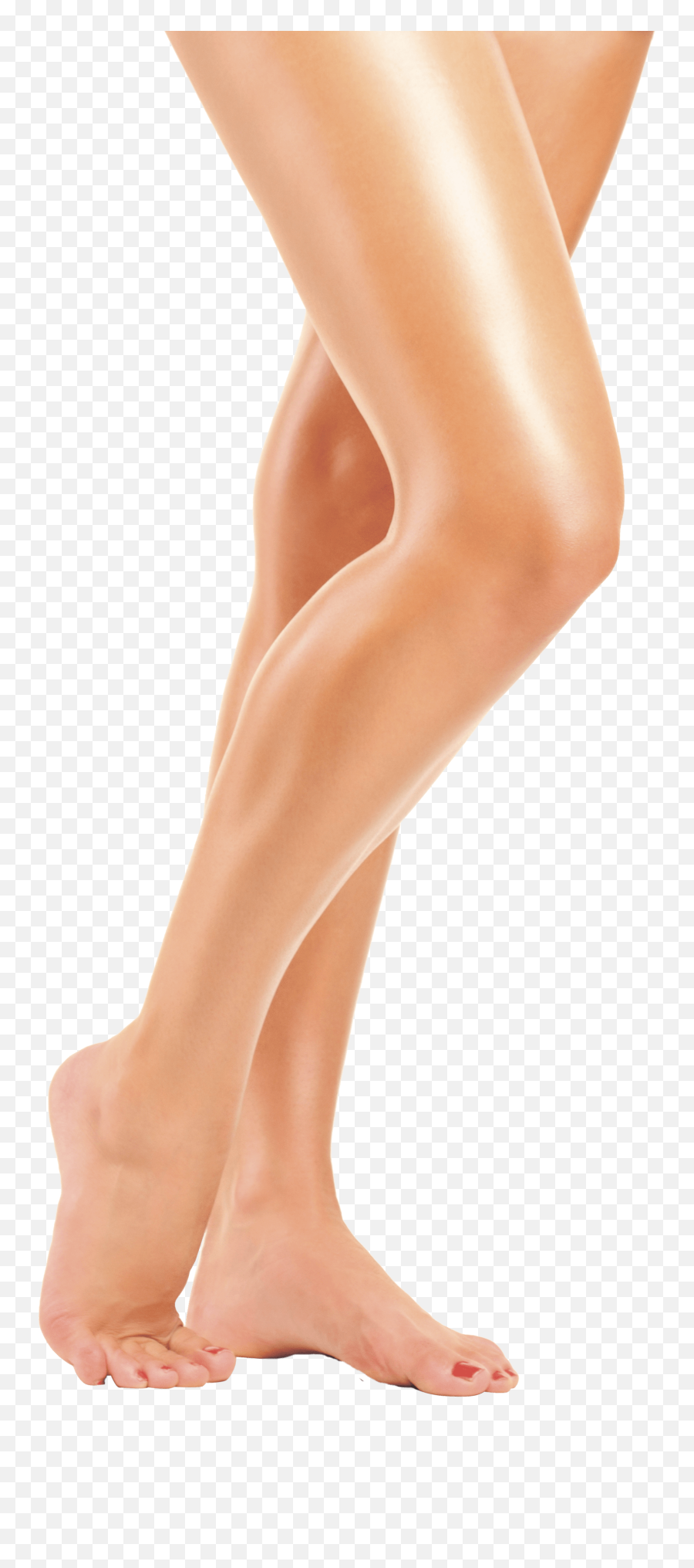Long Women Legs Transparent Png - Legs Png,Leg Transparent