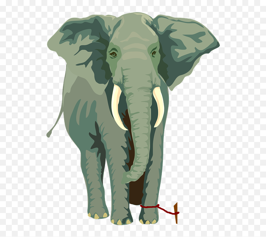 Elephant And Tiny Rope Story About Belief Clip - Elephant Tied To Rope Png,Circus Elephant Png