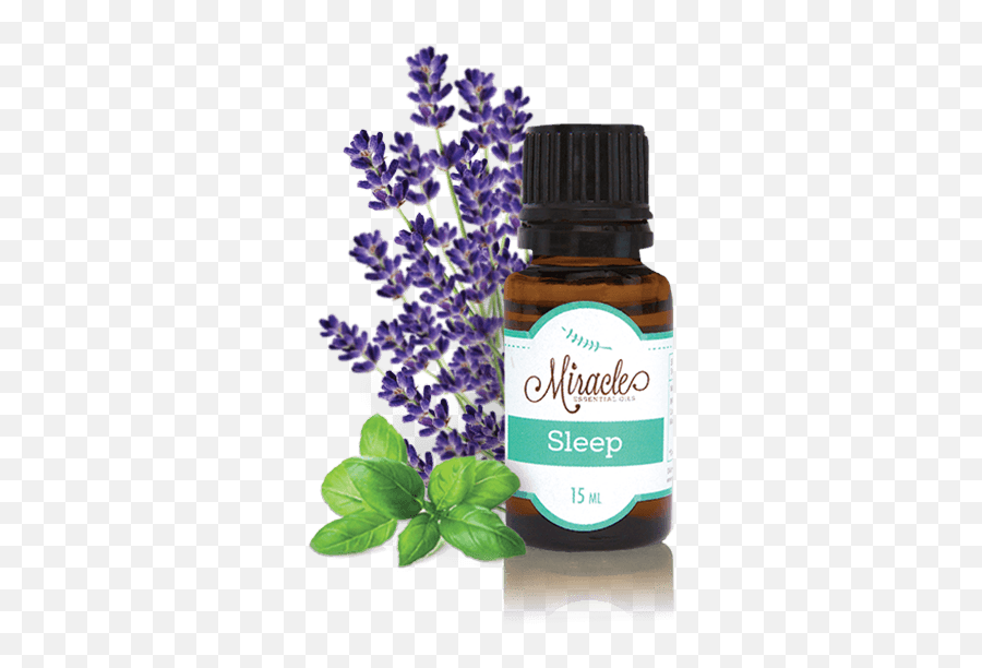 Download Lavender Essential Oil - English Lavender Png,Essential Oils Png