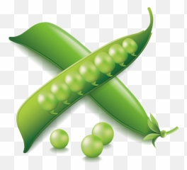 Vegetable Euclidean Vector Icon - 911x823 Png Imagene De Vegetales