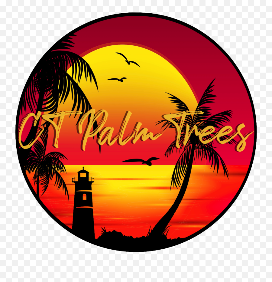 Ct Palm Trees Buy Or Rent Event Rentals Png Icon Apartments Isla Vista Monday Hours