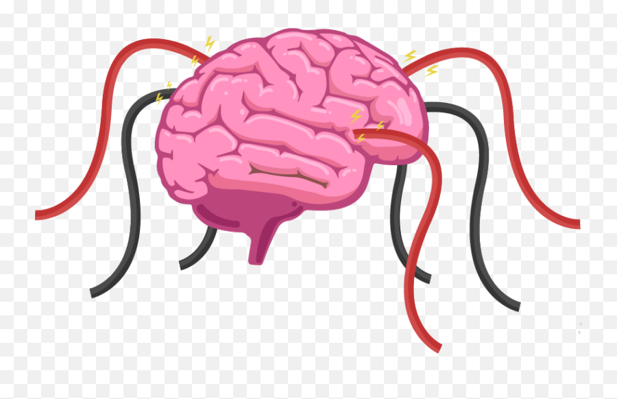 The Human Brain Is A Hive Of Electrical Activity With - Brain Development In Children Png,Human Brain Png