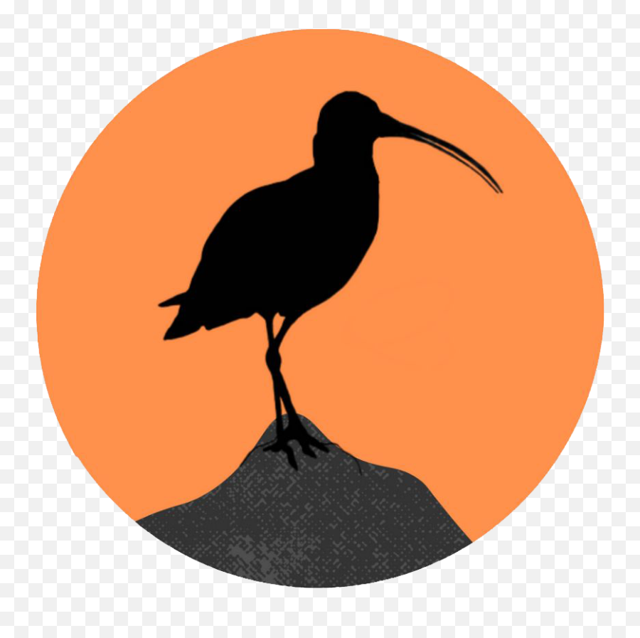 Podcasts U2013 Curlew Action - Curlew Silhouette Png,Magic Feather Icon