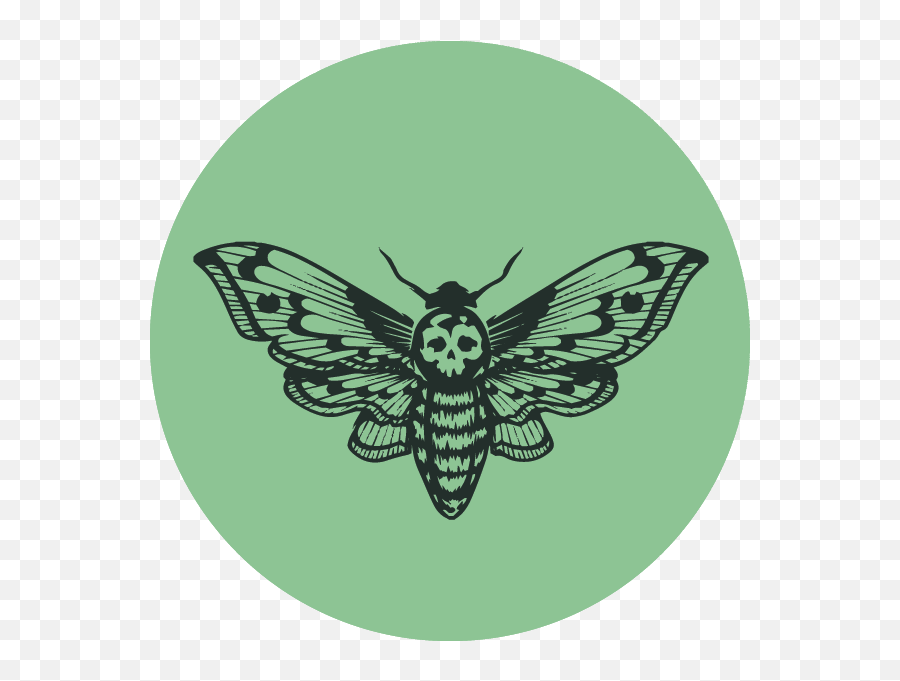 Black Friday Blackout - Fri Nov 26 At 11am Meddlesome Moth Illustration Death Head Moth Png,Blackout Icon