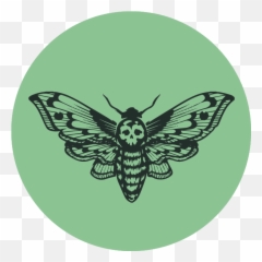 Black Friday Blackout - Nov 26 at 11am Meddlesome Moth Illustration Death Head png
