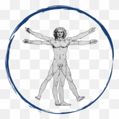 North Park Acupuncture Helping You Achieve Your Optimum Health Png