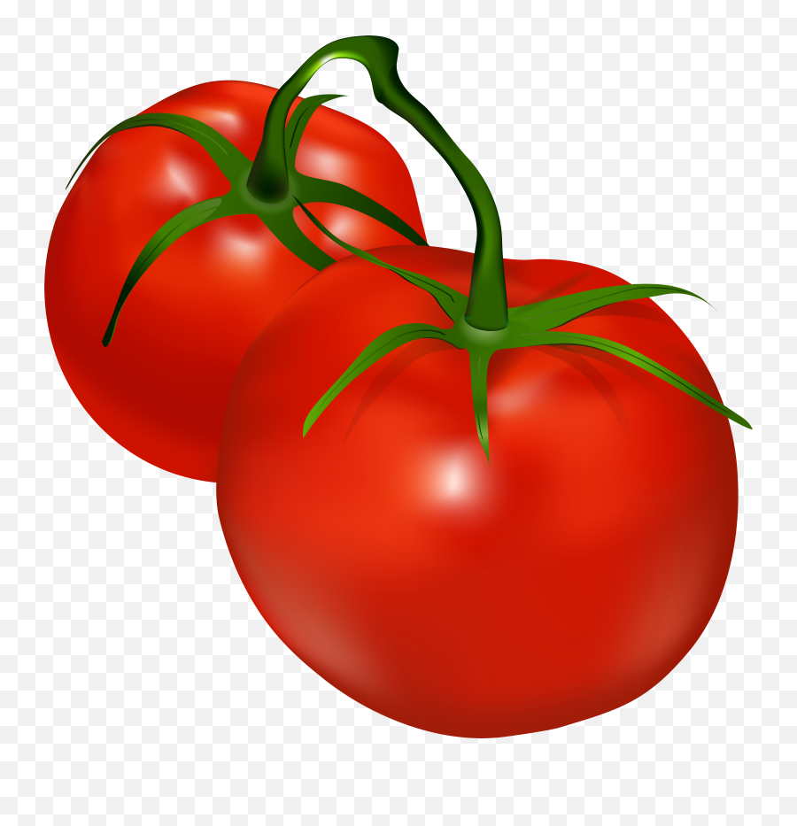 Tomato Clipart Transparent Png