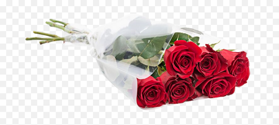Traditional Half Dozen Roses Bouquets - Garden Roses Png,Roses Transparent