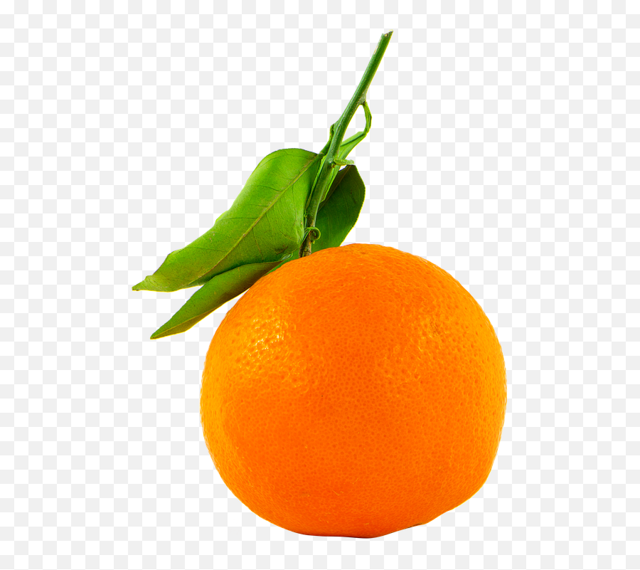 Fruit Orange Transparent - Free Photo On Pixabay Orange Cut Out Png,Fruit Transparent Background