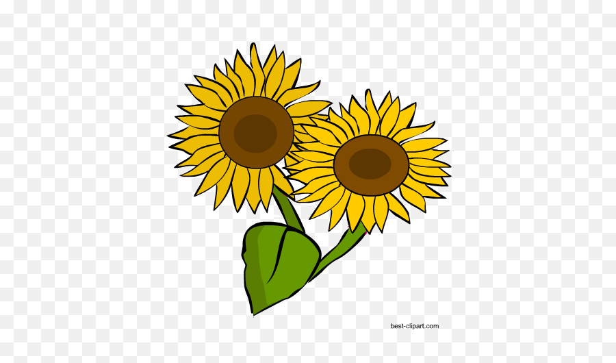Download Hd Two Sunflowers Png Clip Art Image - Sunflower Two Sunflower Clipart,Sunflowers Transparent