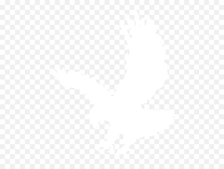 29 Bald Eagle Clipart Transparent Background Free Clip Art Png Logo