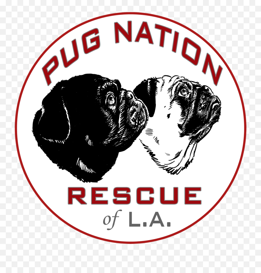 Download Pnla Logo Final - Pug Png Image With No Background Pug Nation Logo,Pug Face Png