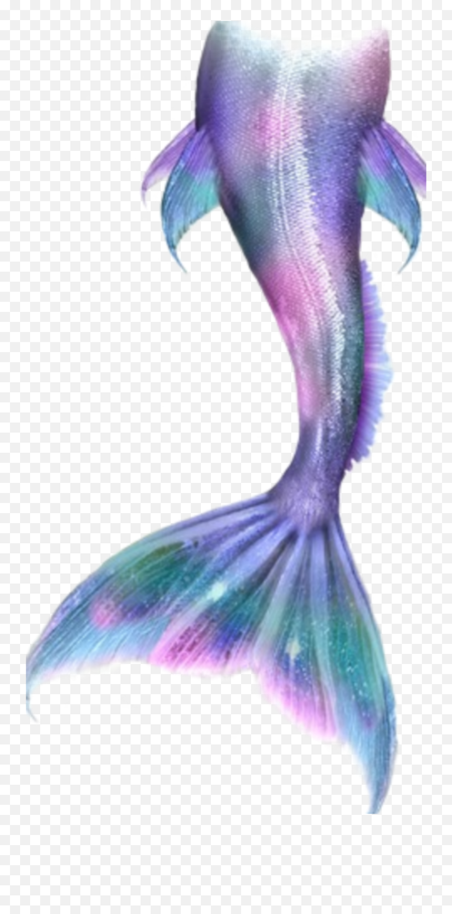 Mermaid Tail Png Freetoedit - Transparent Mermaid Tail,Mermaid Tail Png