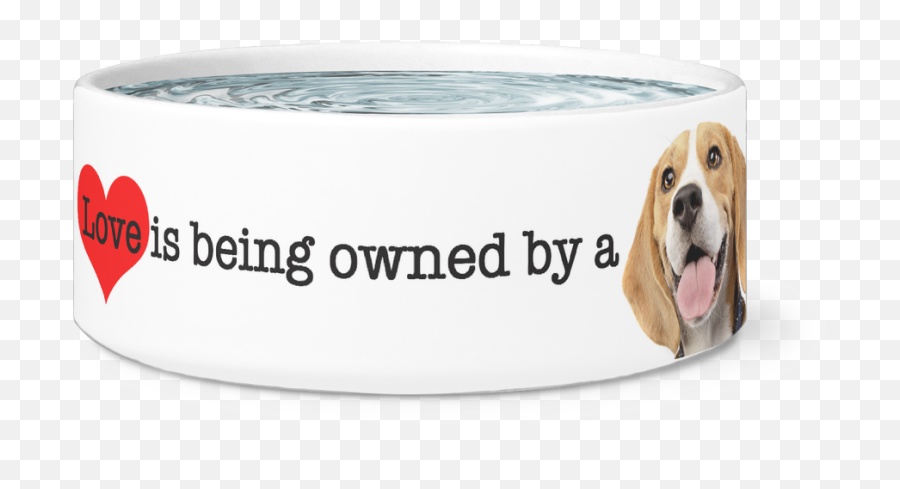 Download Large Dog Bowl Love Is Being Owned By A Beagle - Basset Hound Png,Beagle Png